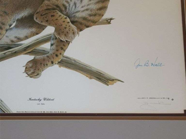 "Kentucky Wildcat," signed by artist Jim Oliver & Joe B. Hall.