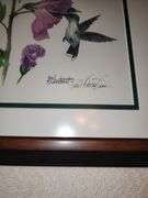 Paul Overstreet Hummingbird prints - framed in matching frames