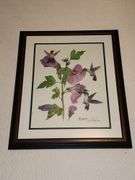 Paul Overstreet Hummingbird prints - framed in matching frames