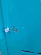 CFG Industrial H15R Mini Excavator