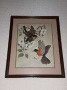 Birds & floral Prints