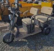 High-End Mini Electric Golf Cart