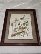 Paul Overstreet Framed animal prints