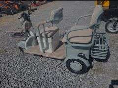 High-End Mini Electric Golf Cart