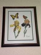 3 Paul Overstreet framed prints