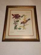 Paul Overstreet framed prints