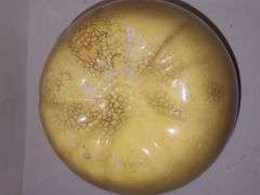 Vintage 1940's ceramic McCoy Apple Cookie Jar