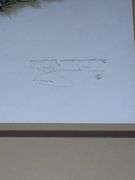 Animal framed prints