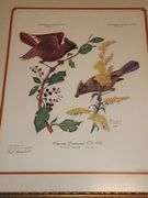 Paul Overstreet framed prints