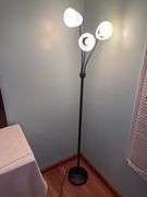 Floor lamp & desk lamp
