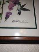 Paul Overstreet Hummingbird prints - framed in matching frames