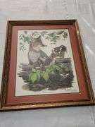 Paul Overstreet Framed animal prints