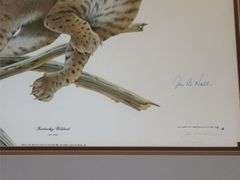 "Kentucky Wildcat," signed by artist Jim Oliver & Joe B. Hall.
