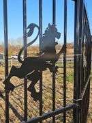 BI-Parting Iron Gate (Lion Design)