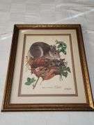 Paul Overstreet franed prints & Owl framed print