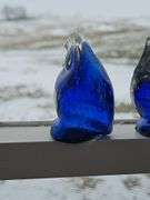 Cobalt Blue & clear glass owl paperweight