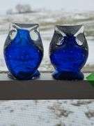 Cobalt Blue & clear glass owl paperweight