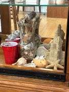 Sand Castle & Shells