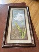 Greeting and Notes Cards, Decor Flower Picture