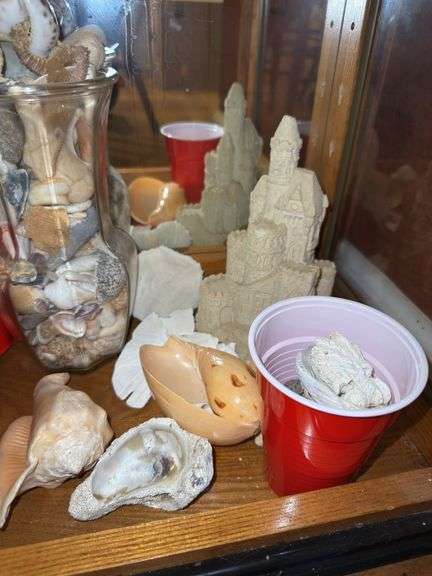 Sand Castle & Shells