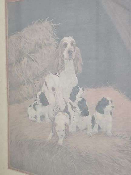 Wooden Framed Picture - Spaniel Dog