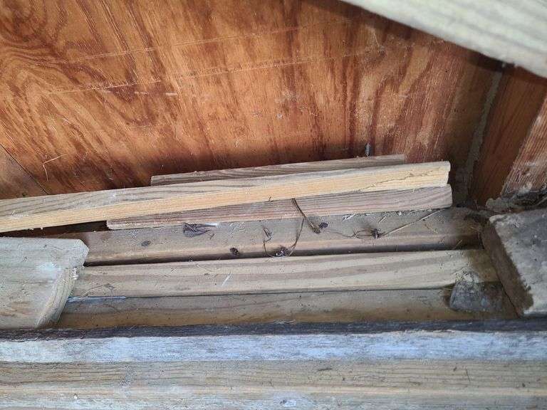 Msc Wood pile