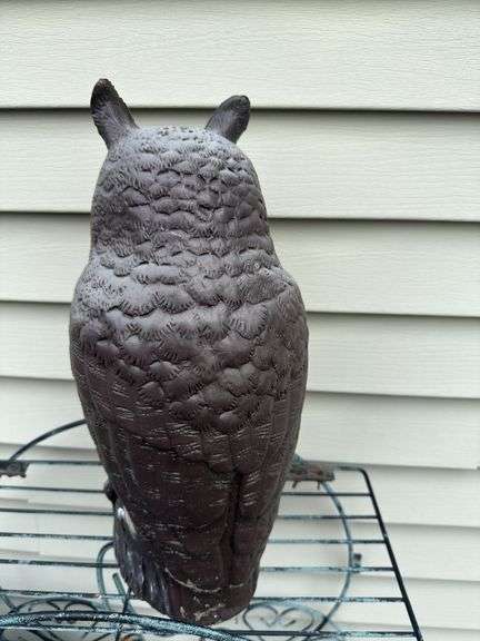 Owl