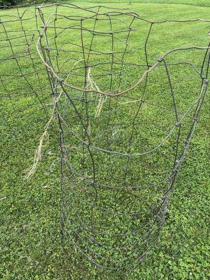 5 tomato cages