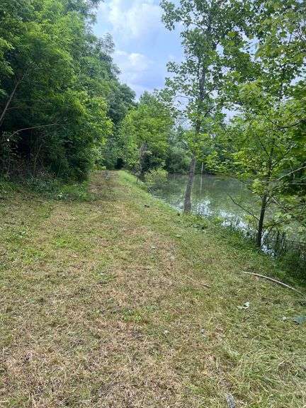 6+ Acres Lower Johnson Branch