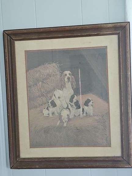 Wooden Framed Picture - Spaniel Dog