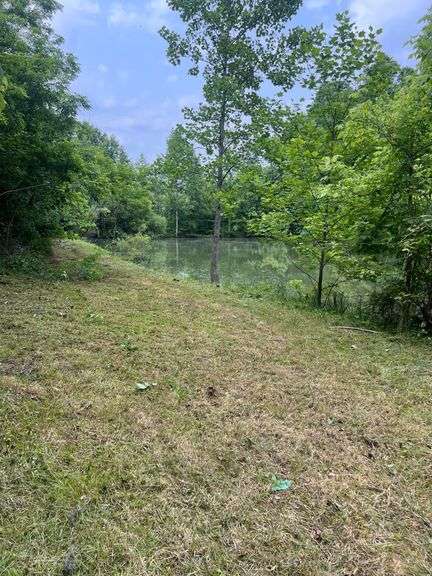 6+ Acres Lower Johnson Branch Rd. Parksville