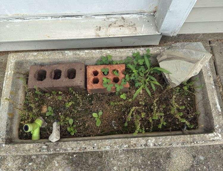 Concrete planter