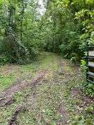 6+ Acres Lower Johnson Branch