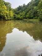 6+ Acres Lower Johnson Branch