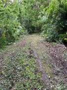 6+ Acres Lower Johnson Branch