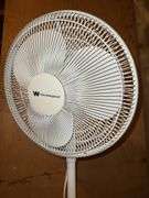 Fans