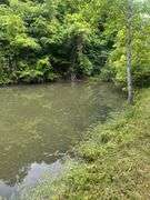 6+ Acres Lower Johnson Branch
