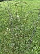 5 tomato cages