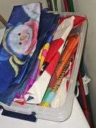 Shelf contents and cleaning supplies