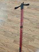 Trekking Poles