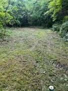 6+ Acres Lower Johnson Branch
