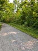 6+ Acres Lower Johnson Branch