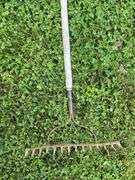 Scope shovel & garden rake