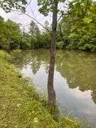 6+ Acres Lower Johnson Branch