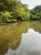 6+ Acres Lower Johnson Branch