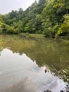 6+ Acres Lower Johnson Branch