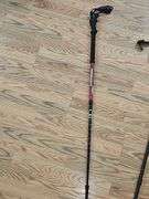 Trekking Poles
