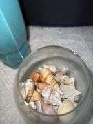Glass Vases, Faux Flowers & Shells