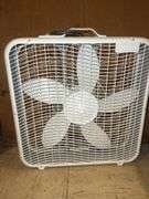 Fans