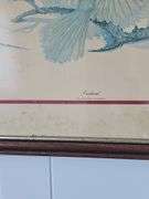 “Cardinal” Print by Sallie Ellington Middleton
